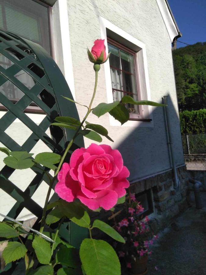 Zu Hause Am Bach Διαμέρισμα Aggsbach Εξωτερικό φωτογραφία